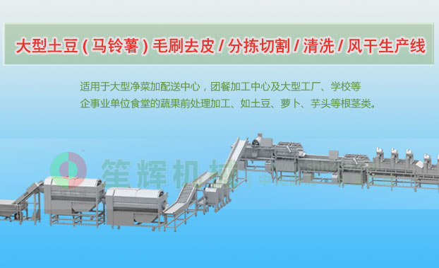 临淄连续式土豆去皮清洗切割风干生产线